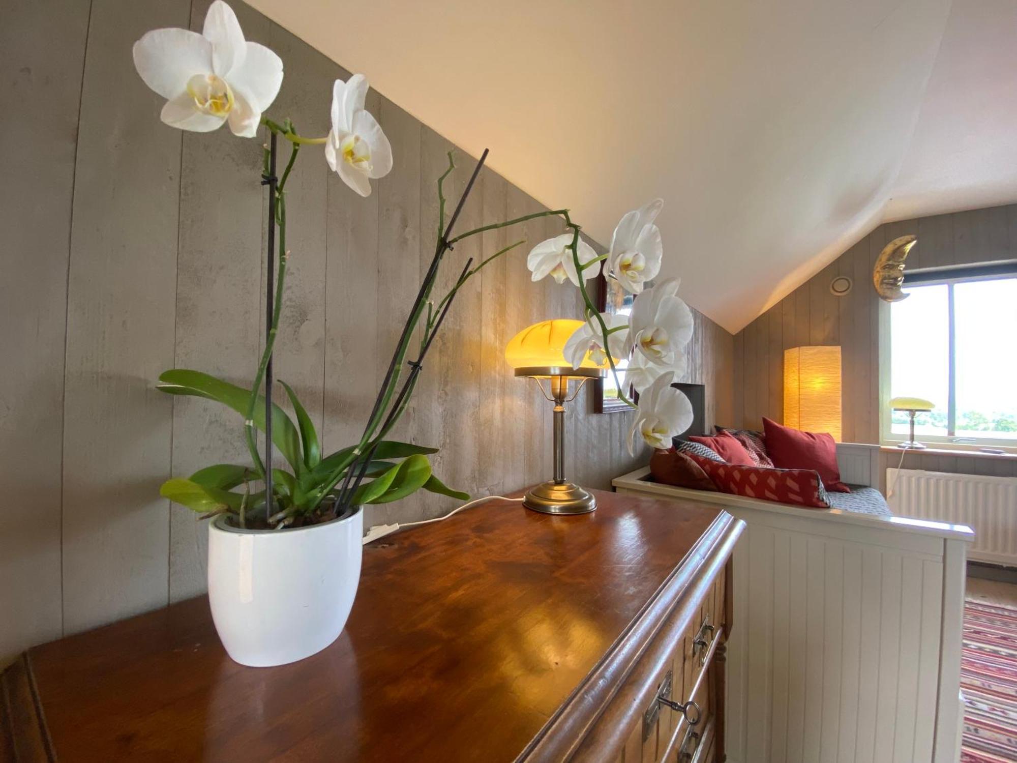 B&B Borgunda Buitenkant foto